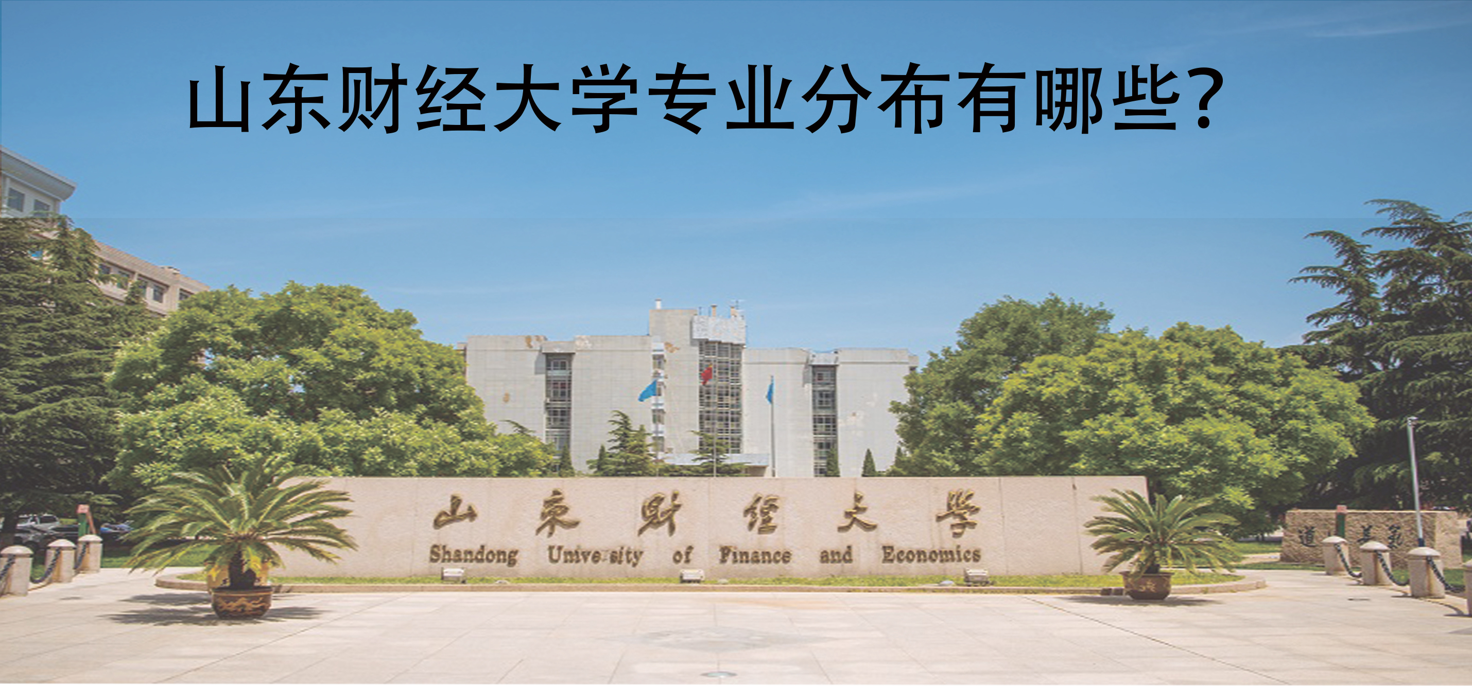 山东财经大学专业分布有哪些？